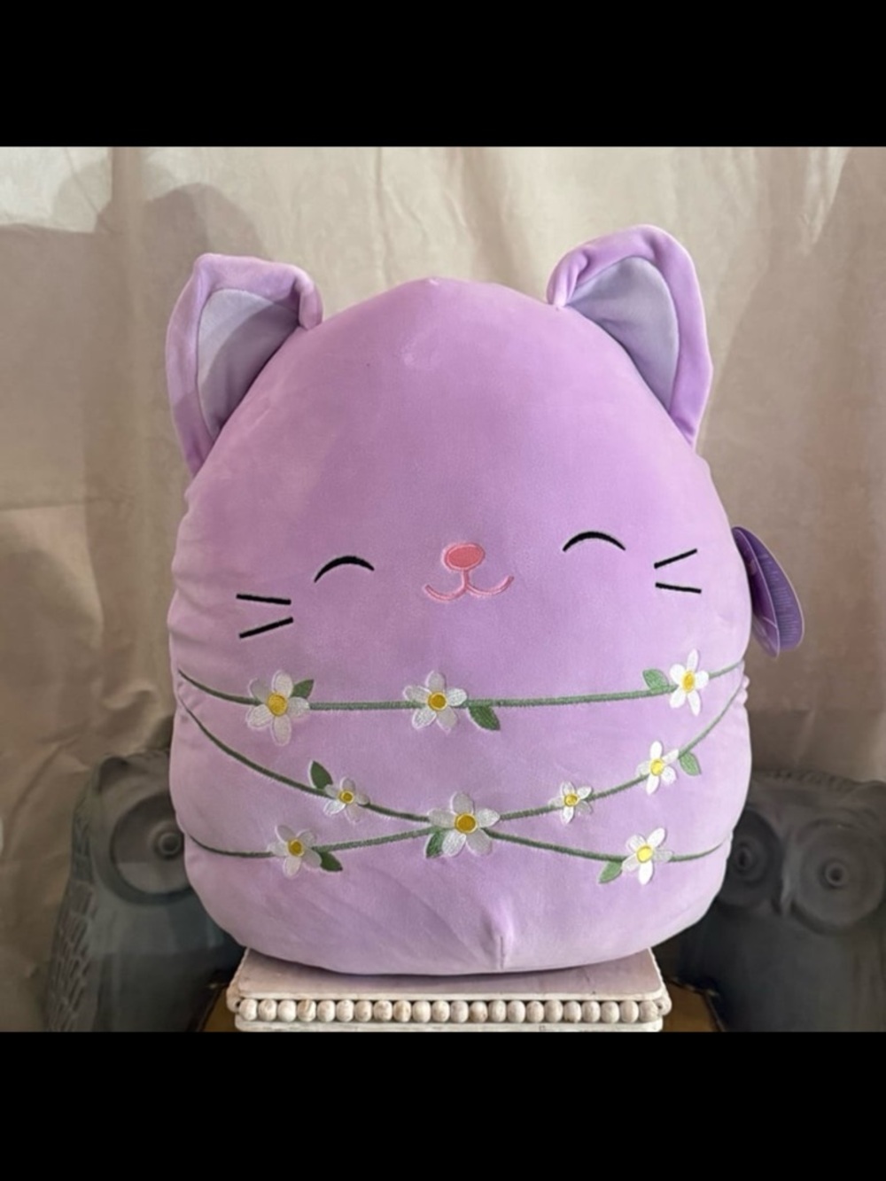 ⚡️Squishmallows: Mak